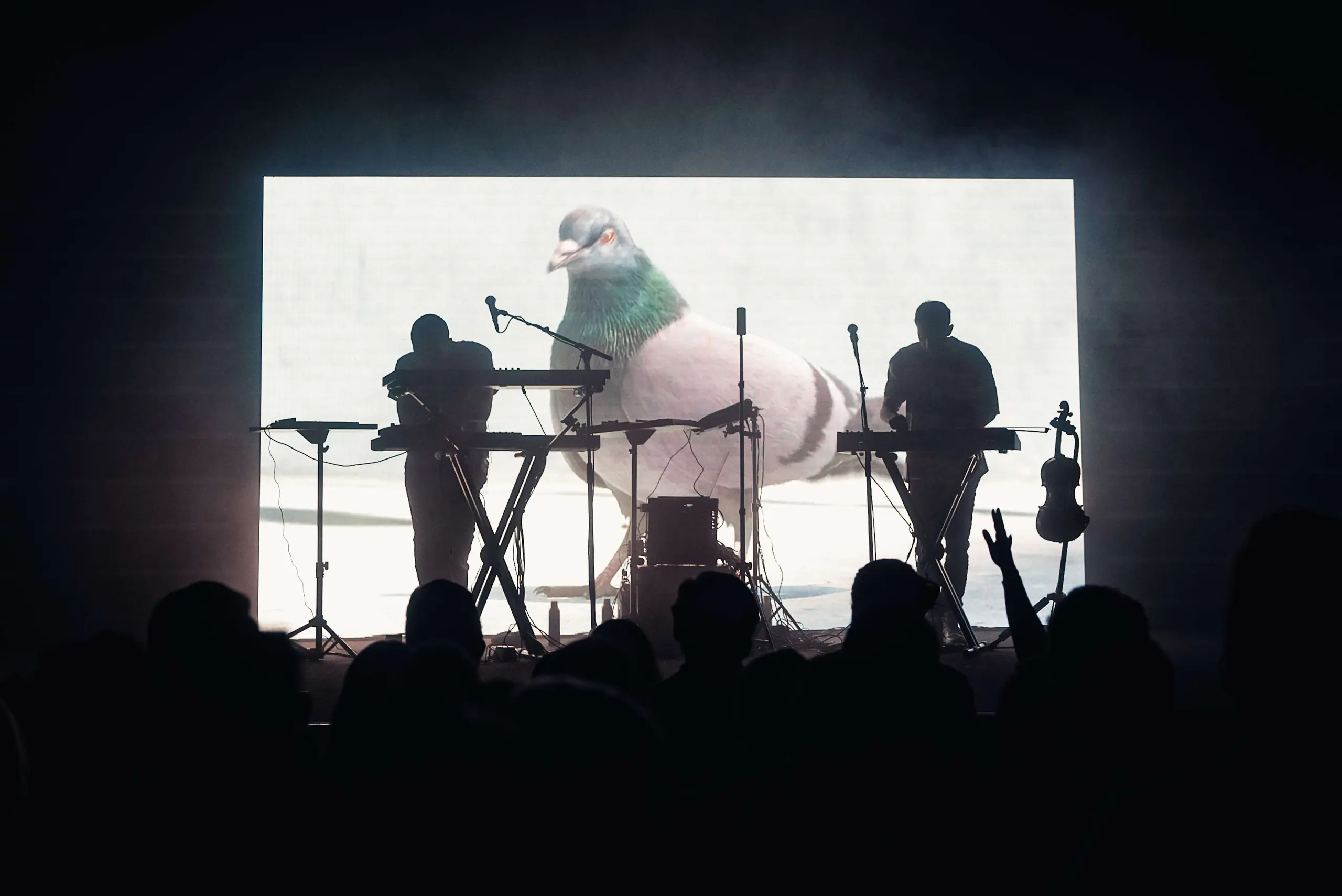 Emmit Fenn at The Fillmore, San Francisco – Eric Dew